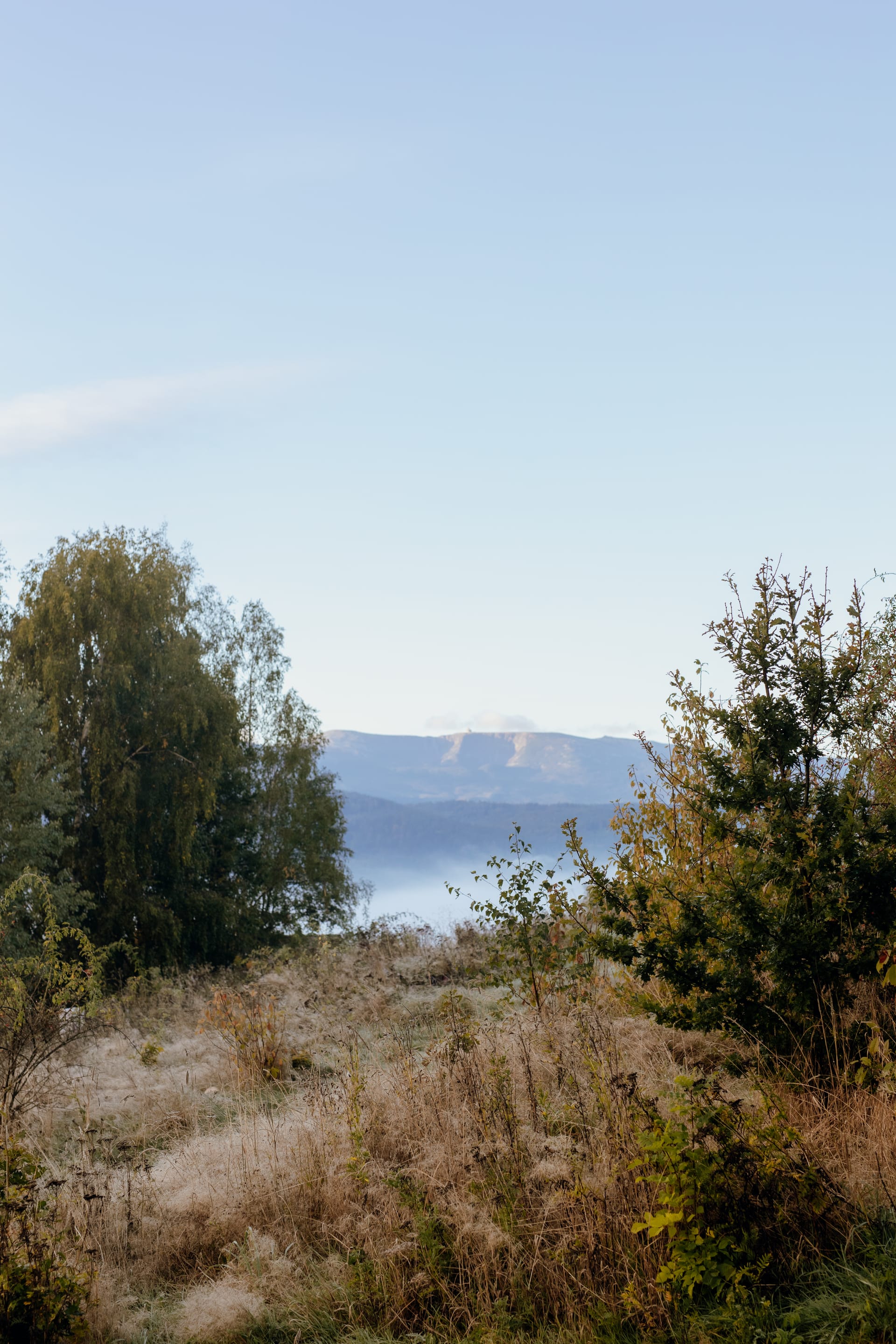 Widok na góry